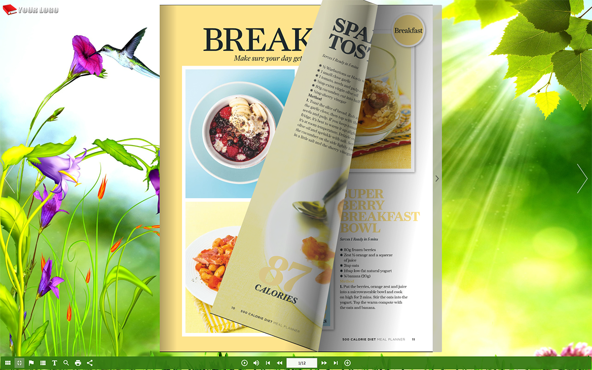 flipbook demo, flash flipbook, html5 flipbook